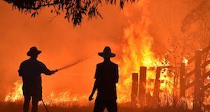 wildfires