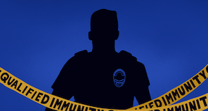 end qualified immunity