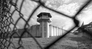 prison gerrymandering