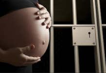 prenatal and postnatal care in prisons