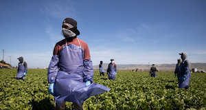 immigrant worker protections