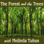 FORESTANDTREES