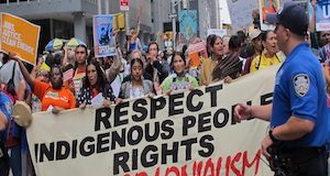 indigenous rights