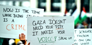 gaza genocide