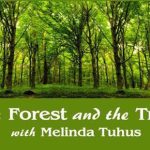Forest and theTrees435x290
