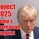 240617a-ctpt-trump_mugshot_435x290