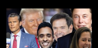 Trump bizarre cabinet nominees