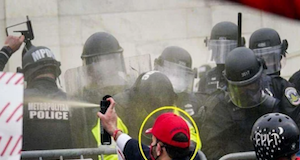 pardons of Jan. 6 insurrectionists
