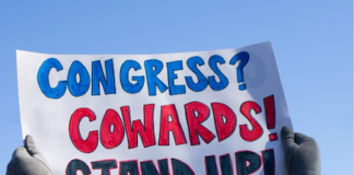 Democrats resistance