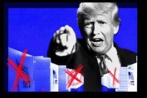 trump midterm election