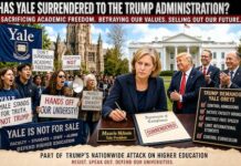 yale-trump surrender