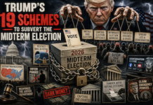 Trumps 19 schemes midterm election coup