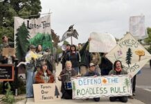 roadless rule