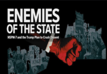 enemies of the state