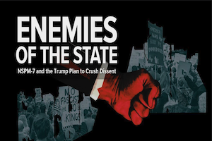 enemies of the state